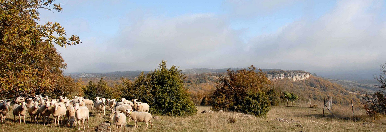 images/destinations/Destination_Causse_Larzac.jpeg#joomlaImage://local-images/destinations/Destination_Causse_Larzac.jpeg?width=1600&height=550