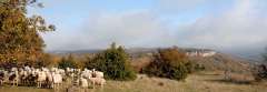 images/destinations/Destination_Causse_Larzac.jpeg#joomlaImage://local-images/destinations/Destination_Causse_Larzac.jpeg?width=1600&height=550